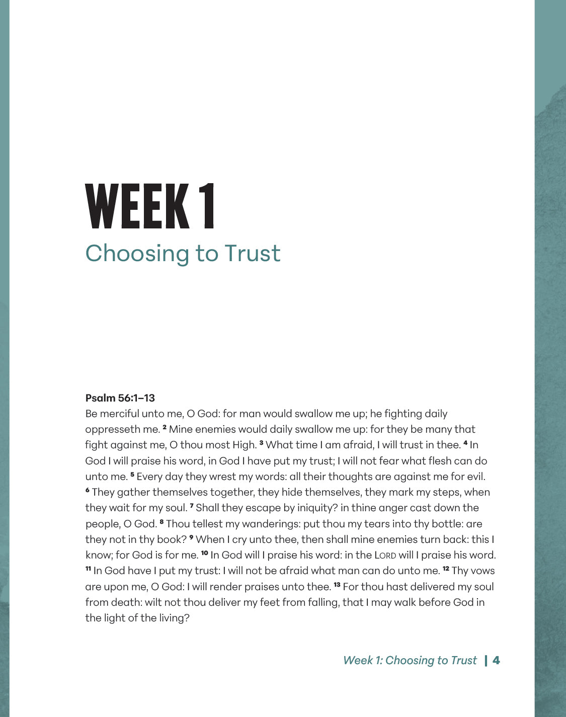 Faith that Triumphs Leader Guide