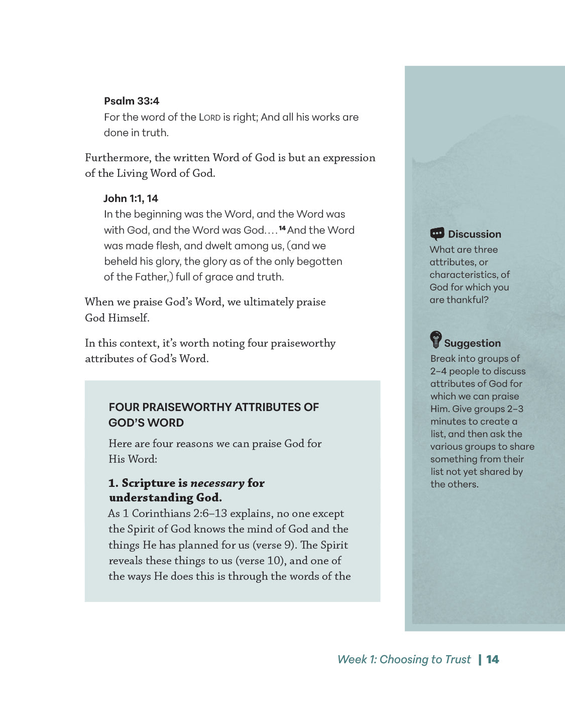 Faith that Triumphs Leader Guide