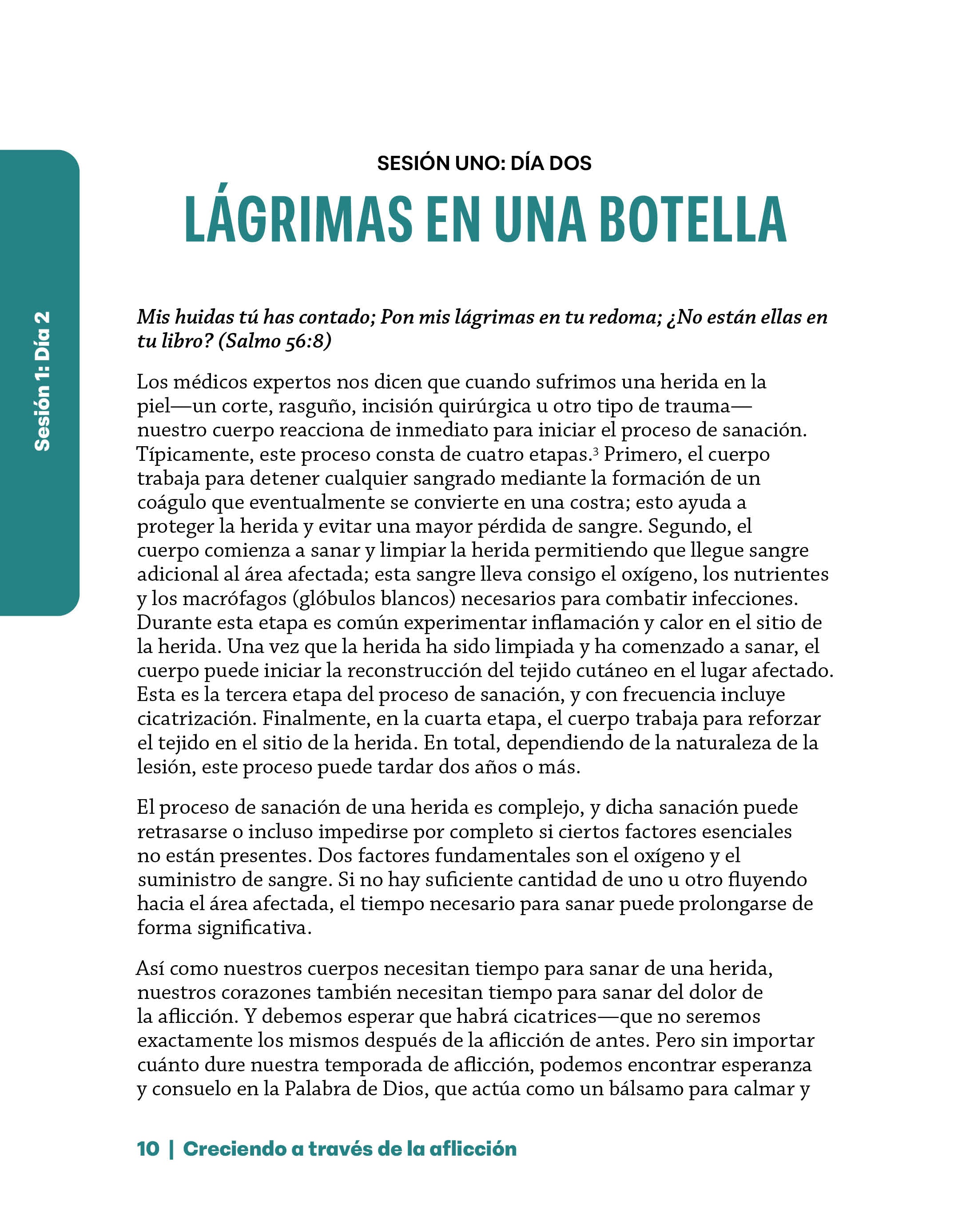 Creciendo a través de la aflicción: Cómo continuar en Cristo - cuaderno de trabajo (Growing Through Grief Workbook - Spanish)