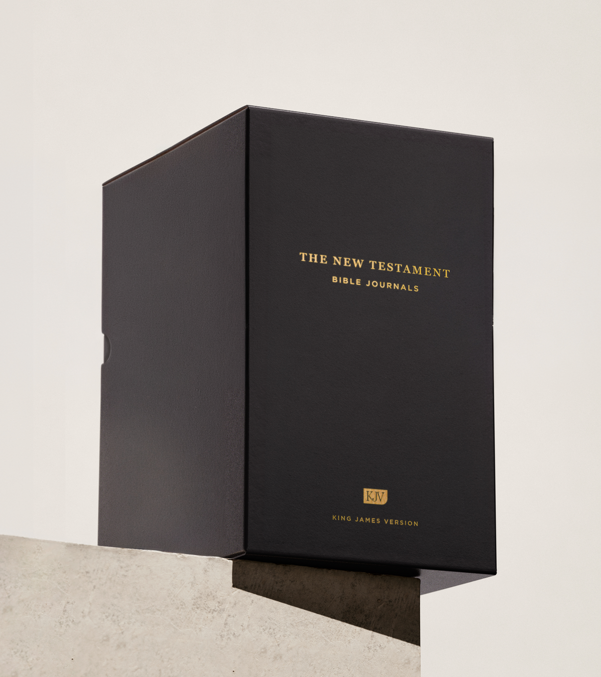 New Testament Bible Journal Case