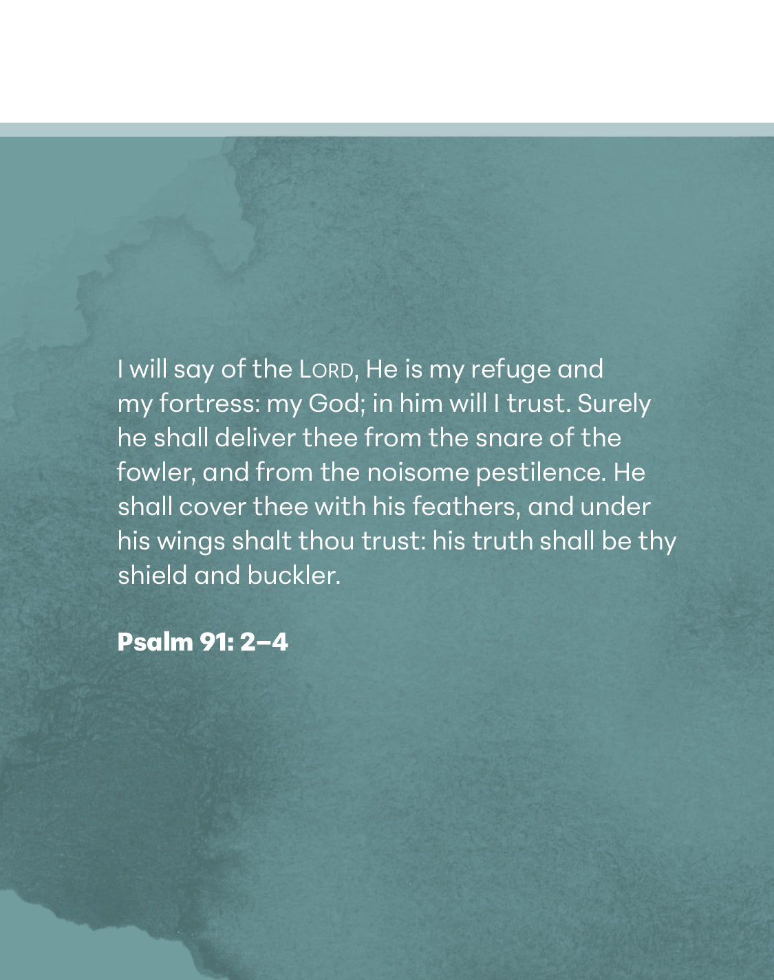 Faith that Triumphs Study Guide