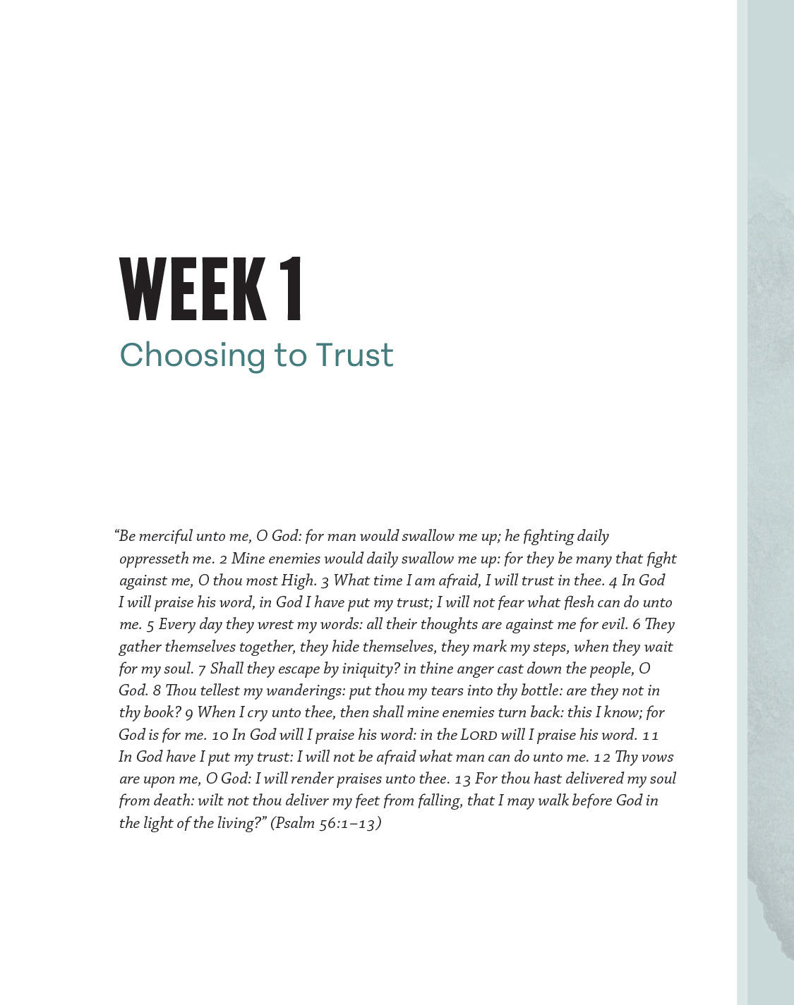 Faith that Triumphs Study Guide