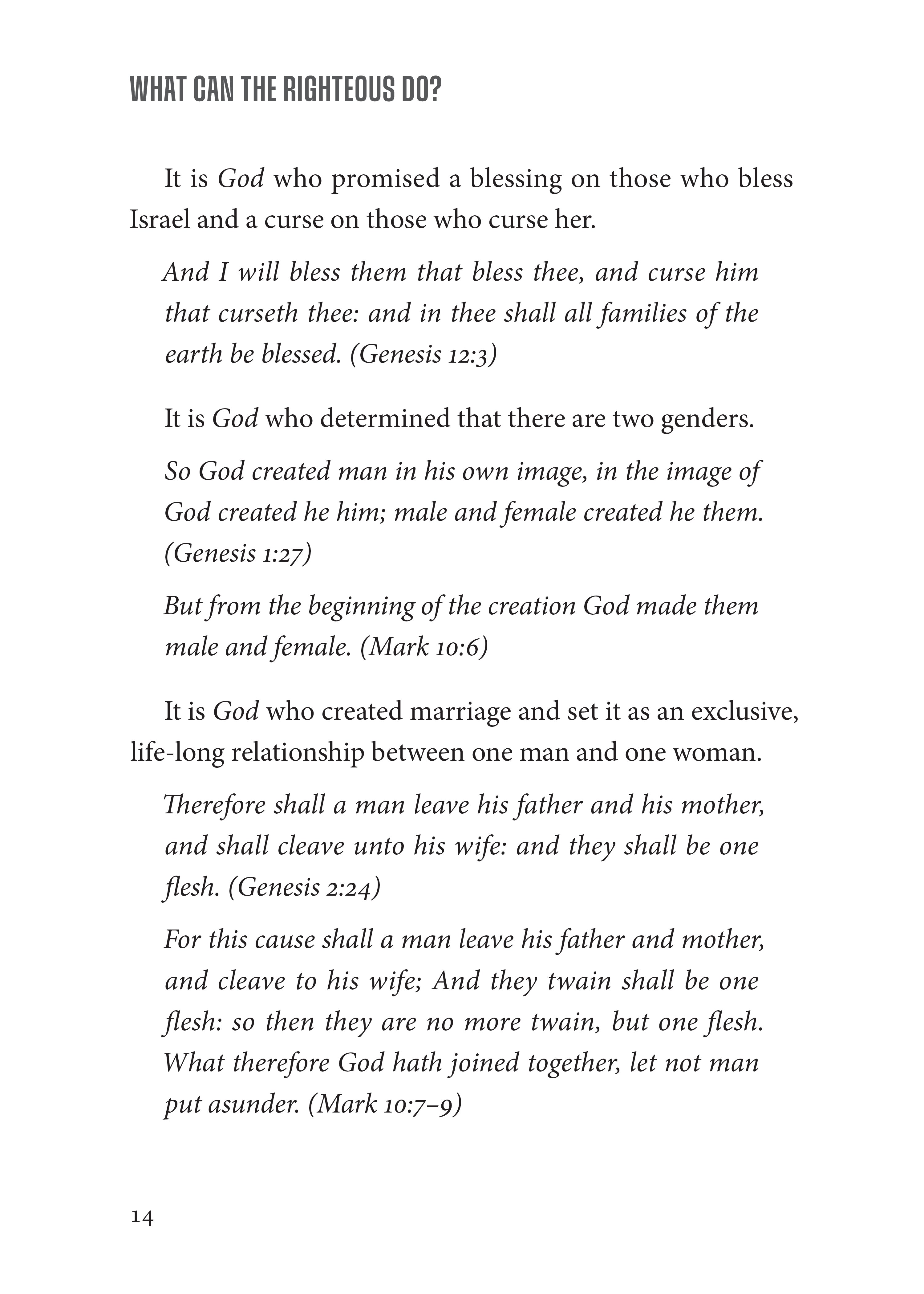 What Can The Righteous Do?