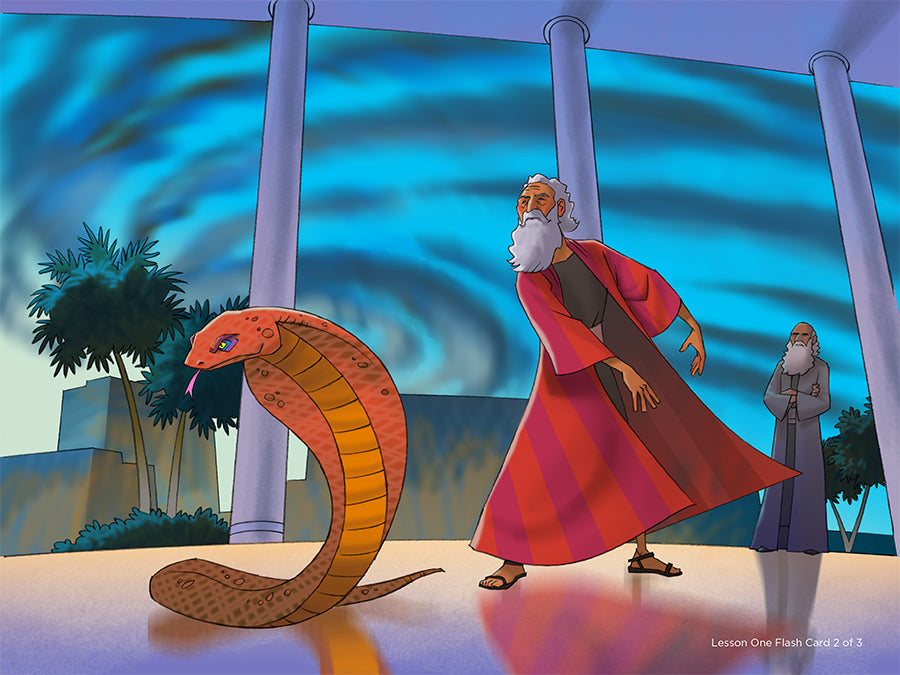 Stories of Grace Vol 3: Objects & Animals Used by God Visual Aid Pack