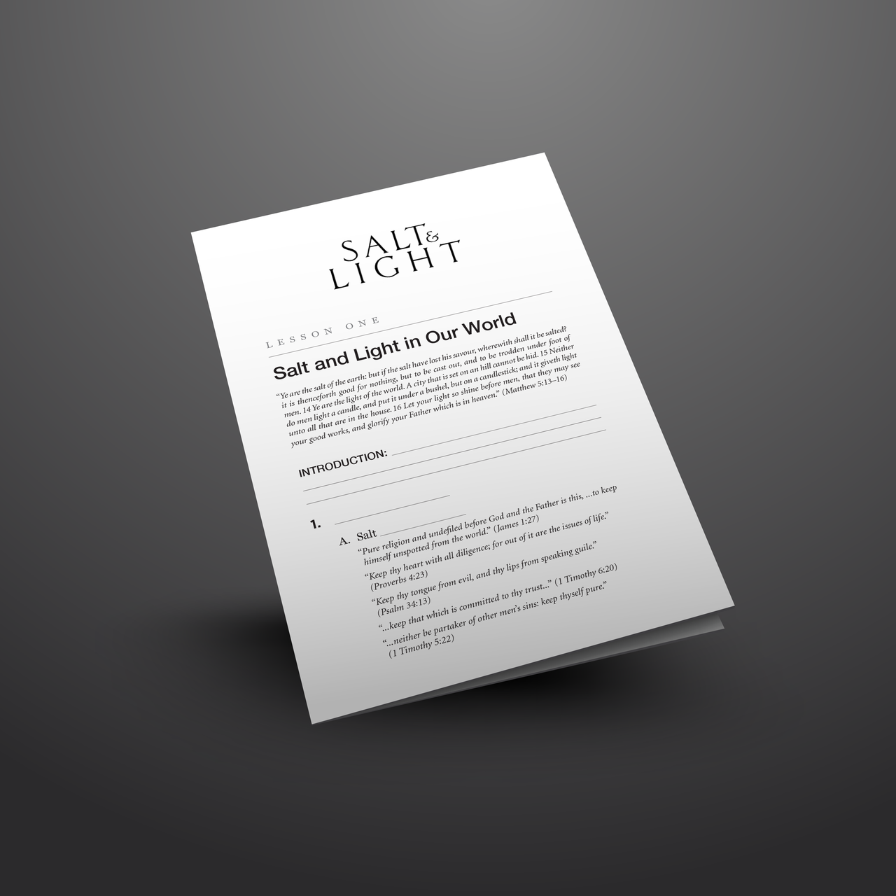 Salt and Light Teaching Assets