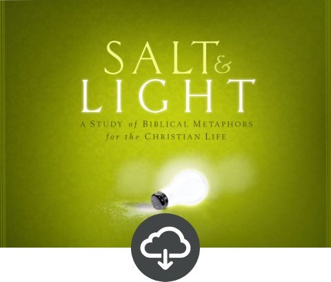 Salt and Light Teaching Assets