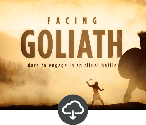 Facing Goliath Teaching Assets