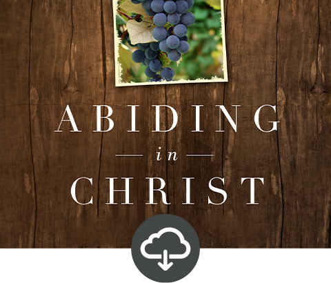 Abiding in Christ Teaching Assets