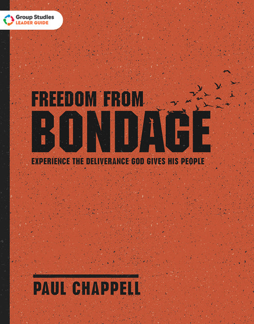 Freedom from Bondage Leader Guide Striving Together Publications
