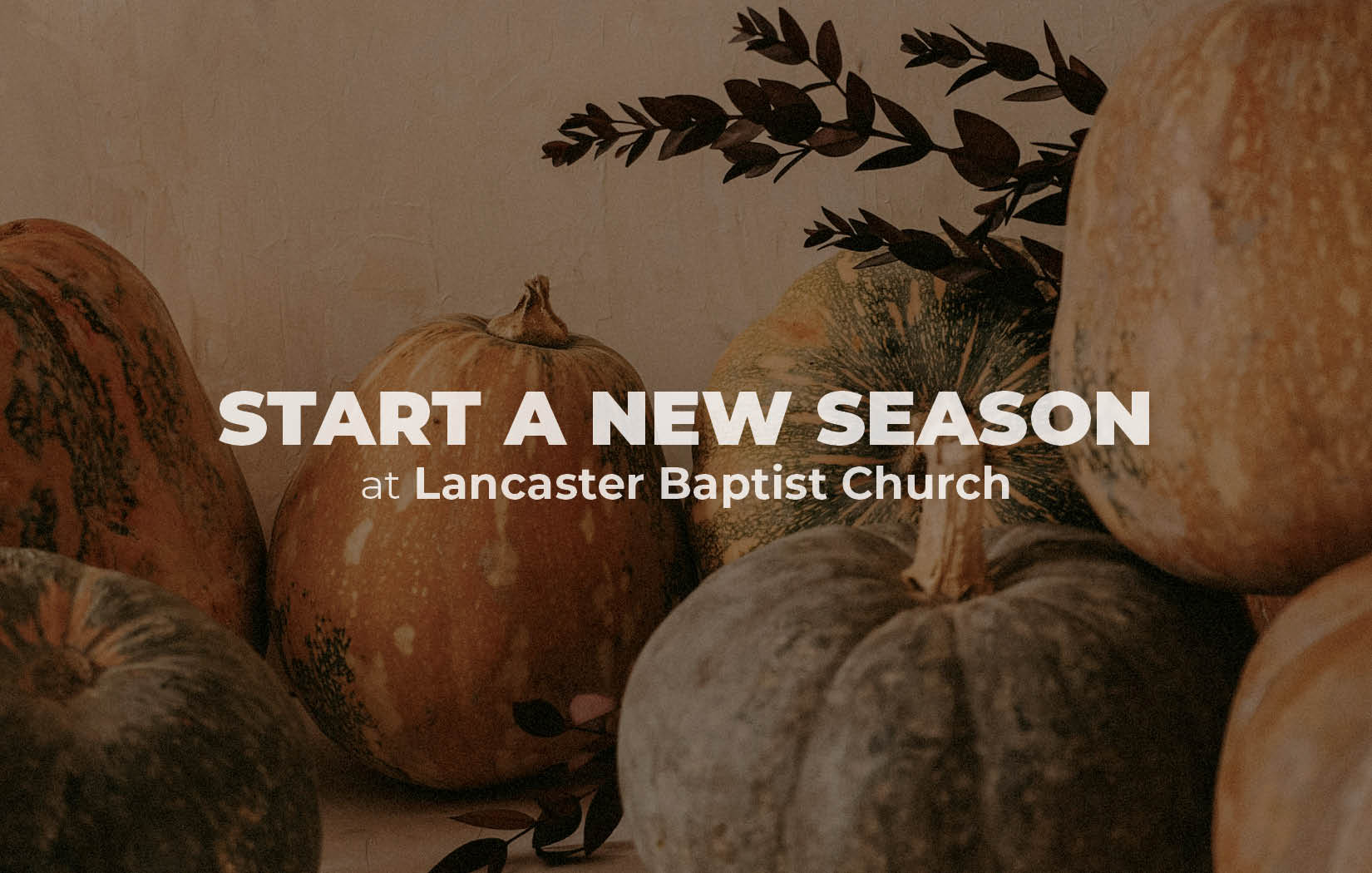 Start a New Season Pumpkins—Outreach Card