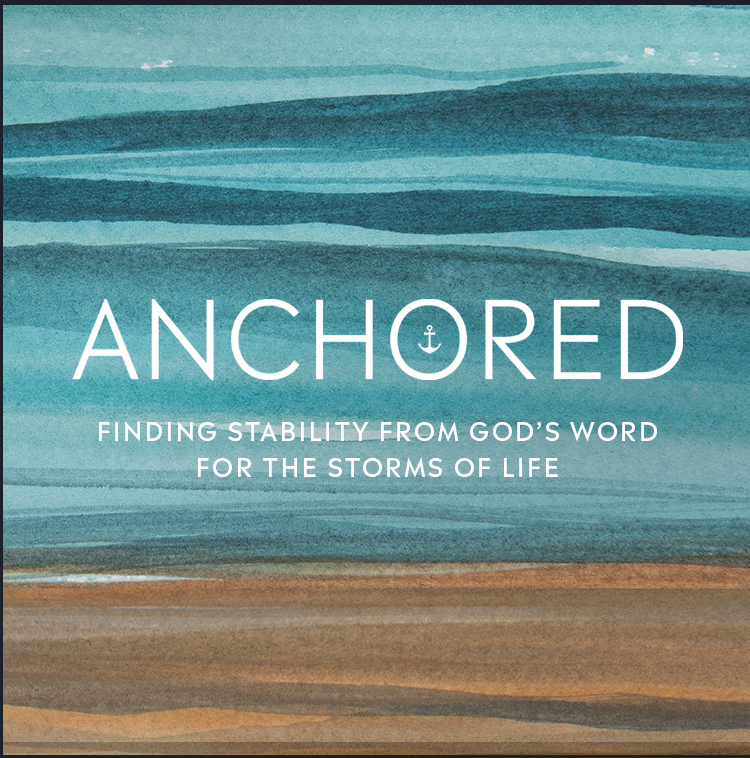 Anchored Media Download