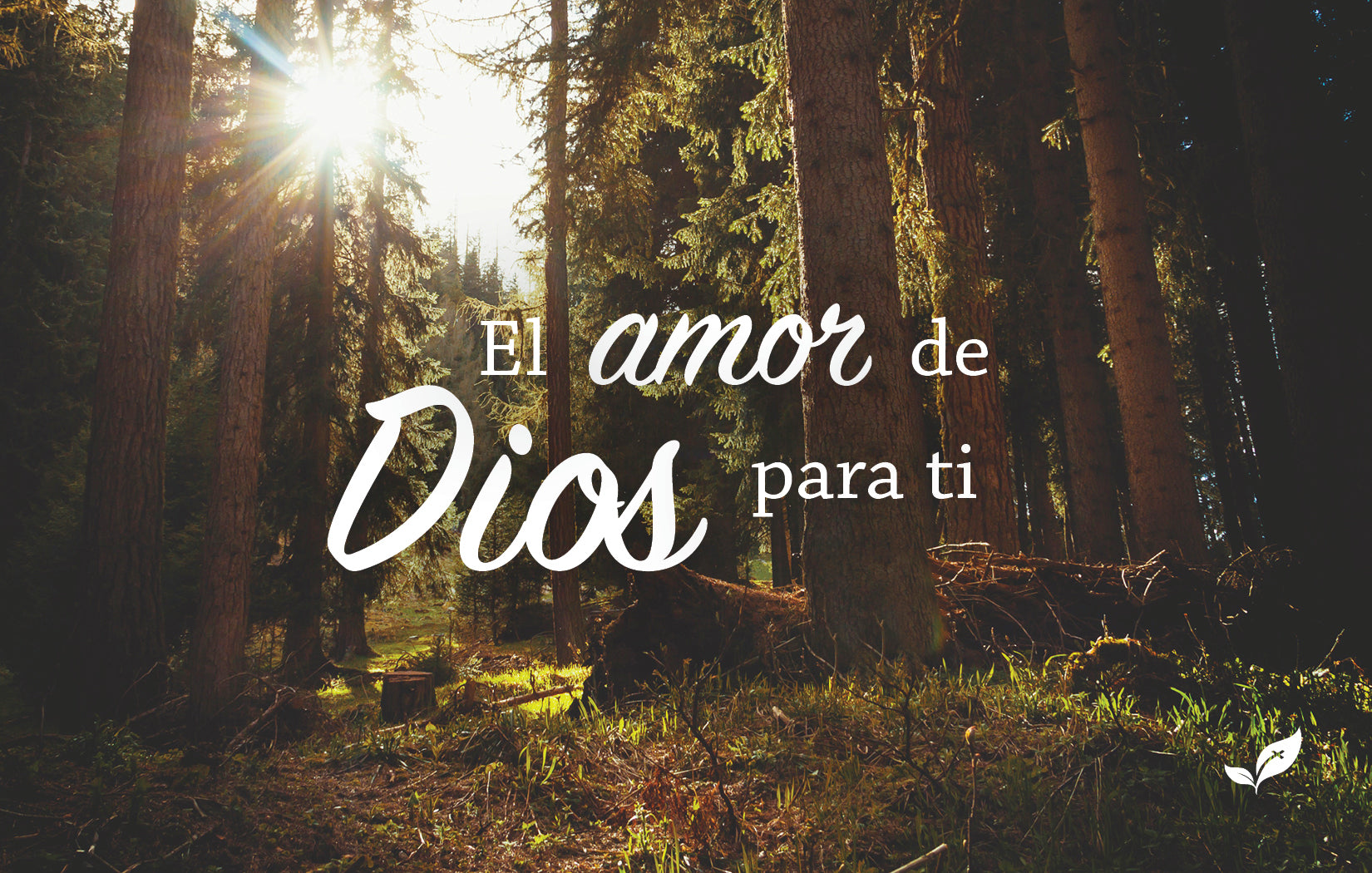 El Amor de Dios—Outreach Card