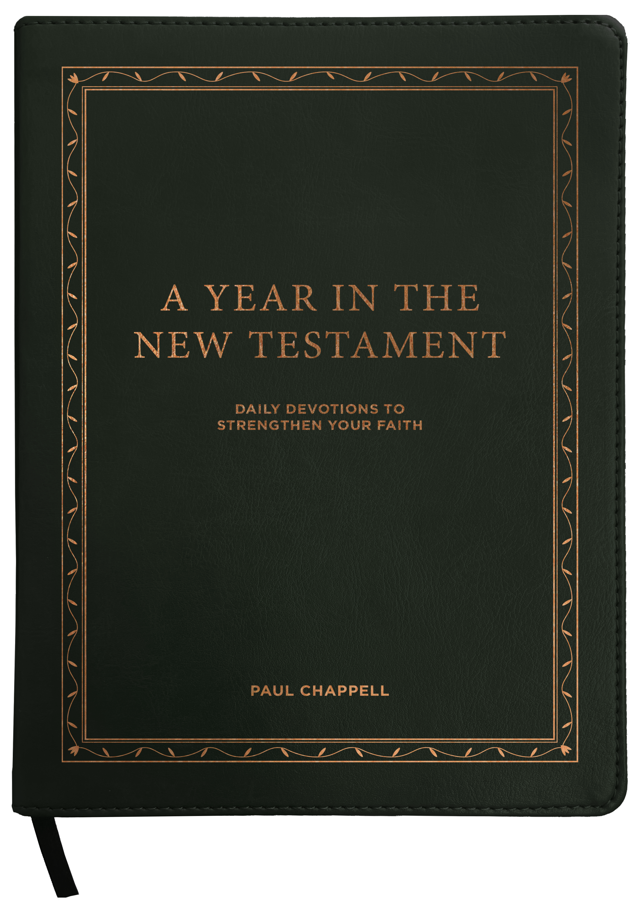 A Year in the New Testament