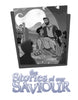 The Life of Christ: Stories of Our Saviour Teacher Edition Download