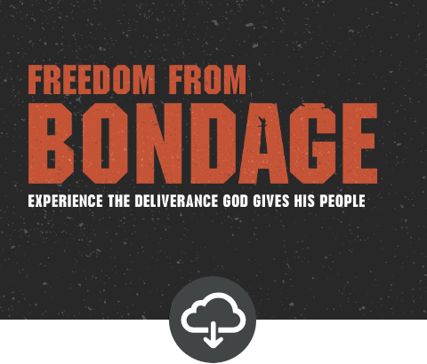 Freedom from Bondage Media Download