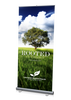 Rooted in Christ Theme Banner