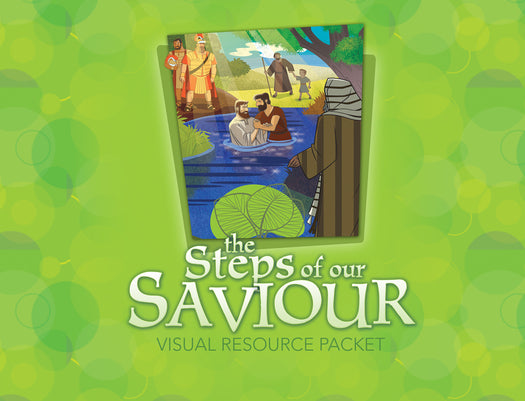 The Life of Christ: Steps of Our Saviour Visual Aid Pack